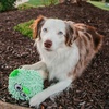 image:imageSmartPetLove Snuggle Puppy TenderTuffs Ball Dog Toy Plush PufferfishPufferfish