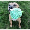 image:imageSmartPetLove Snuggle Puppy TenderTuffs Ball Dog Toy Plush PufferfishPufferfish
