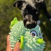 image:imageSmartPetLove Snuggle Puppy TenderTuffs Ball Dog Toy Plush PufferfishPufferfish