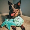 image:imageSmartPetLove Snuggle Puppy TenderTuffs Ball Dog Toy Plush PufferfishPufferfish