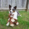 image:imageSmartPetLove Snuggle Puppy TenderTuffs Crinkle Dog Toy Plush HedgehogHappy Bear