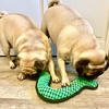 image:imageSmartPetLove Snuggle Puppy TenderTuffs Fetch Dog Toy Inchworm BoomerangGreen Inchworm