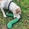 image:imageSmartPetLove Snuggle Puppy TenderTuffs Fetch Dog Toy Inchworm BoomerangGreen Inchworm