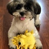 image:imageSmartPetLove Snuggle Puppy TenderTuffs Small Dog Toy Plush HedgehogSmall
