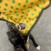 image:imageSmartPetLove Snuggle Puppy TenderTuffs Tug Dog Toy Blue Stingray  LargeYellow Stingray