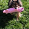 image:imageSmartPetLove Snuggle Puppy TenderTuffs Whisper Rabbit Crinkle Dog Toy Water Bottle Cover Dog Toy for Small Dogs Durable TearBlok Quiet Interactive Dog Chew ToyPig