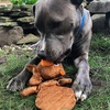 image:imageSmartPetLove Snuggle Puppy TenderTuffs Whisper Rabbit Crinkle Dog Toy Water Bottle Cover Dog Toy for Small Dogs Durable TearBlok Quiet Interactive Dog Chew ToyBeaver