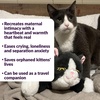 image:imageSnuggle Kitty Heartbeat Cat Toy Calming Comfort Kittens  Tan TigerGrey  White