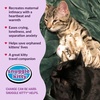 image:imageSnuggle Kitty Heartbeat Cat Toy Calming Comfort Kittens  Tan TigerTan Tiger