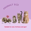 image:imageSnuggle Kitty Heartbeat Cat Toy Calming Comfort Kittens  Tan TigerTan Tiger
