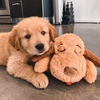 image:imageSnuggle Puppy Essentials Starter Kit Heartbeat Toy amp Blanket  BiscuitNeutral