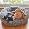 image:imageSnuggle Puppy Essentials Starter Kit Heartbeat Toy amp Blanket  BiscuitPink