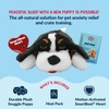 image:imageSnuggle Puppy Heartbeat Toy Calming Comfort Medium Breeds  GrayBernese