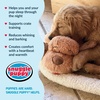 image:imageSnuggle Puppy Heartbeat Toy Calming Comfort Medium Breeds  GrayBiscuit
