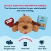 image:imageSnuggle Puppy Heartbeat Toy Calming Comfort Medium Breeds  GrayBiscuit