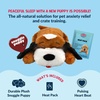 image:imageSnuggle Puppy Heartbeat Toy Calming Comfort Medium Breeds  GrayBrown  White