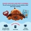 image:imageSnuggle Puppy Heartbeat Toy Calming Comfort Medium Breeds  GrayBrown