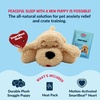 image:imageSnuggle Puppy Heartbeat Toy Calming Comfort Medium Breeds  GrayDoodle