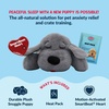 image:imageSnuggle Puppy Heartbeat Toy Calming Comfort Medium Breeds  GrayGrey