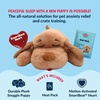 image:imageSnuggle Puppy Heartbeat Toy Calming Comfort Medium Breeds  GrayLarge Breed Biscuit