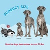image:imageSnuggle Puppy Heartbeat Toy Calming Comfort Medium Breeds  GrayLarge Breed Great Dane