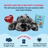 image:imageSnuggle Puppy Heartbeat Toy Calming Comfort Medium Breeds  GrayMerle