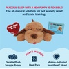 image:imageSnuggle Puppy Junior Heartbeat Toy Calming Comfort Small Breeds  BiscuitBiscuit