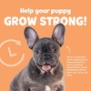image:imageSnuggle Puppy Night Calm Puppy Bites Melatonin 60 Soft ChewsGrow Strong