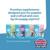 image:imageSnuggle Puppy Puppy Bites Grow Strong Dog Omega 3 60 Soft ChewsGrow Strong