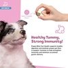 image:imageSnuggle Puppy Puppy Bites Grow Strong Dog Omega 3 60 Soft ChewsGut Health