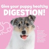image:imageSnuggle Puppy Puppy Bites Grow Strong Dog Omega 3 60 Soft ChewsGut Health