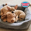 image:imageSnuggle Puppy Replacement Heat Packs for Dogs 6 Count  Disposable Pet Comfort Warmers for Puppy Anxiety Relief  Odorless NonToxic All Natural  Fits All Snuggle Puppy Styles7Pack