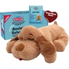 Large Breed Biscuit