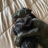 image:imageSmartPetLove Snuggle Puppy  Extra Heat Pack Bundle  Comes with Snuggle Puppy and Extra 12Pack of Heat Packs for Pets