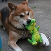 image:imageSmartPetLove Snuggle Puppy TenderTuffs Easy Grab Dog Toy Plush Crocodile