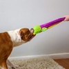 image:imageSmartPetLove Snuggle Puppy TenderTuffs Tug Dog Toy Plush Platypus
