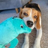 image:imageSnuggle Puppy TenderTuffs  Large Marine Stuffed Manatee Plush Toy for Big Dogs  Puncture Resistant Squeaker