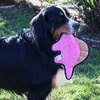 image:imageSnuggle Puppy TenderTuffs Crinkle  Tough Plush Dog Toy  Long Neck Pink Dinosaur with Crinkle Sound and Durable Stitching