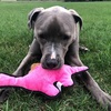 image:imageSnuggle Puppy TenderTuffs Crinkle  Tough Plush Dog Toy  Long Neck Pink Dinosaur with Crinkle Sound and Durable Stitching